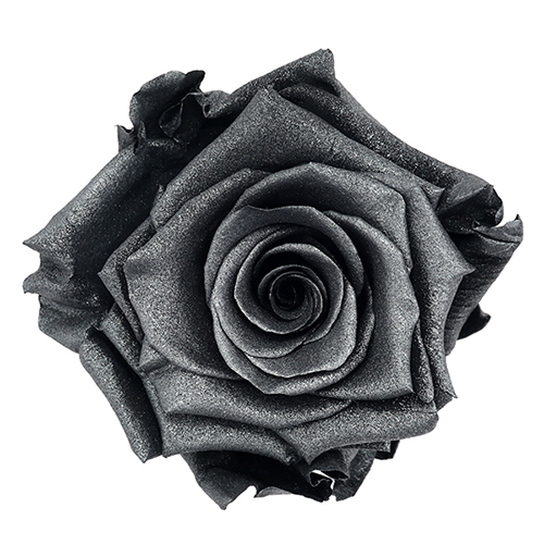 Nouvelle Lune preserved rose - mystical and metallic