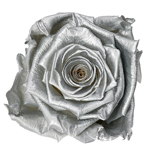 Silver Moon preserved rose - elegant and refined