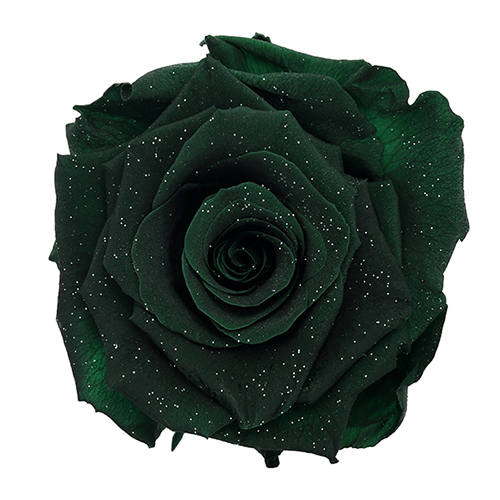 Zeytin Green preserved rose - natural and festive