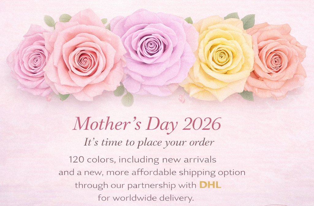 Mother’s Day 2026 preserved roses collection