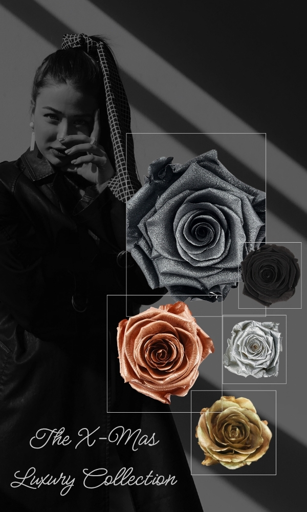 The X-Mas Luxury Collection - Preserved roses in silver, gold, bronze and black